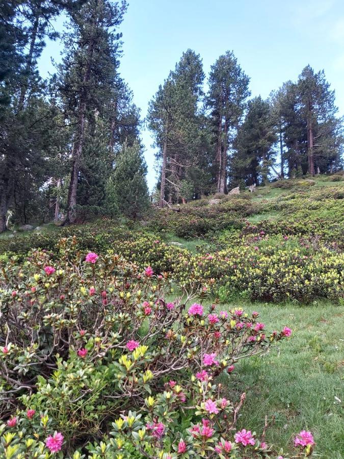 Casa Marcos Leilighet Benasque Eksteriør bilde